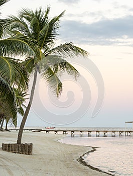 Tropical Beach Solitude