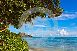 Tropical beach Source D`Argent at Seychelles