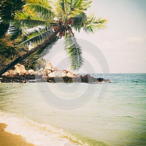 Tropical beach in summe