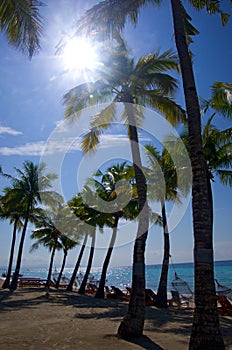 Tropical beach with sunlight