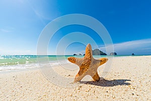 Tropical beach, sunny day