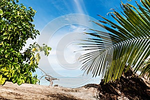 Tropical beach on the sunny day