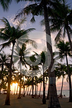 Tropical beach at sunrise