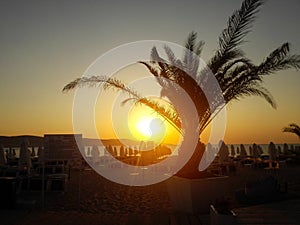 Tropical beach in sunrise with beach chairs and umbrellas