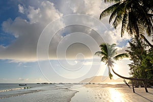 Tropical beach at sunrise with coco palm in Praslin island, Seychelles.