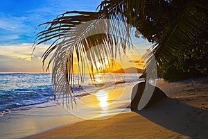 Tropisch Strand auf der Sonnenuntergang 