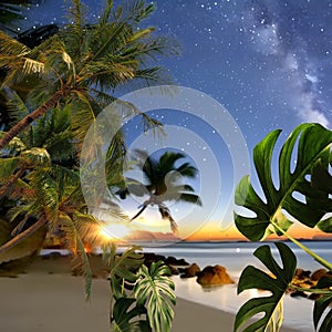 Tropical beach at sunset ,beach sand blue green sea sun flares and palm trees  leaves travel  leisure holiday nature landscape