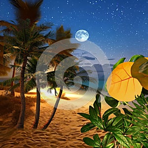 Tropical beach at sunset ,beach sand blue green sea sun flares and palm trees  leaves travel  leisure holiday nature landscape