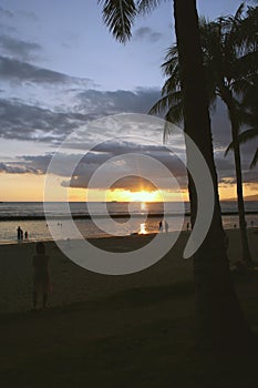 Tropical beach sunset, Hawaii, USA