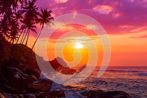 Tropical beach at sunset with palm trees