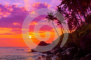 Tropical beach at sunset with palm trees