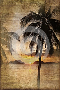 Tropical beach sunset with palm trees, vintage process