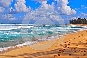 Tropical beach and surf