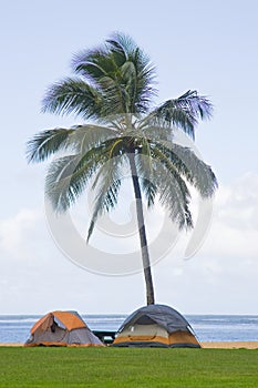 Tropical beach tent camping