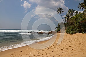 Tropical beach translucent sea , Sri Lanka