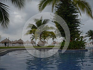 Tropical beach with trees and pool photo