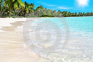 Tropical beach, turquoise sea water, ocean wave, white sand, green palm trees, blue sky, sun, summer holidays, travel, vacation