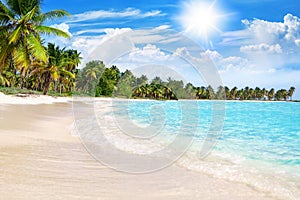 Tropical beach, turquoise sea water, ocean wave, yellow sand, green palms, sun blue sky, white clouds, beautiful seascape, summer