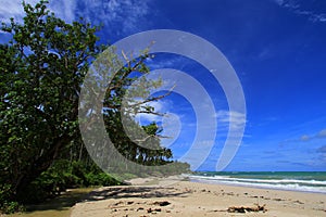 Tropical beach at Ujung Genteng Indonesia photo