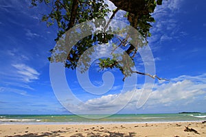 Tropical beach at Ujung Kulon Indonesia photo