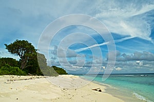 Tropical beach on the uninhabited island in the Maldives