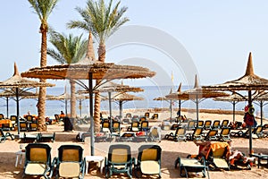 tropical beach on vacation, a tropical resort with sun beds, sun loungers and sun umbrellas in the form of straw hats against the