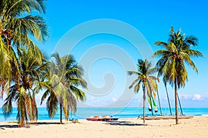 The tropical beach of Varadero in Cuba with sailboats and palm trees on a summer day with turquoise water. Vacation background