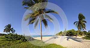 Tropical beach with vegetation panorama