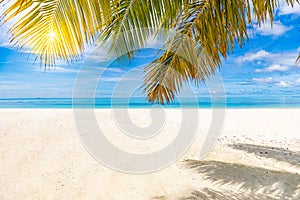 Tropical beach vertical photo background. White sand, azure water and palm tree branches over blue sky.