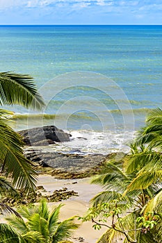 Tropical beach with vividly colored waters