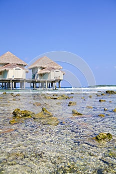 Tropical beach water bungalow