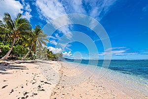Tropical Beach in Western Samoa
