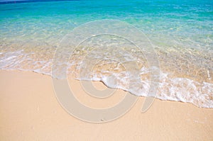 Tropical beach with white coral sand photo