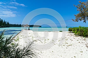 Tropical beach and white sand