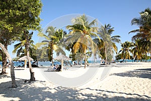 Tropical beach with white sand, blu sea, blu sky and palms