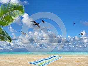 Tropical   beach white  sand blue sea water birds on  sky white clouds  sunshine palm tree branch  summer landscape  summer umbrel