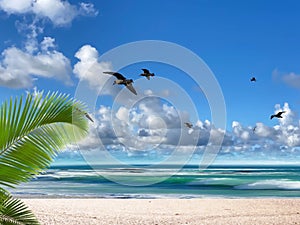 Tropical   beach white  sand blue sea water birds on  sky white clouds  sunshine palm tree branch  summer landscape  summer umbrel