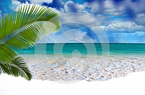Tropical   beach white  sand blue sea water birds on  sky white clouds  sunshine palm tree branch  summer landscape  summer umbrel