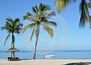 Tropical beach with white sand, palm-trees and blue ocean