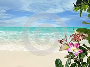 Tropical beach with white sand, palm trees, turquoise ocean against a blue sky with clouds  beautiful flowers on a sunny summer da