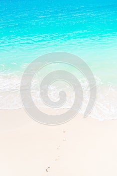 Tropical beach with white sand at summer