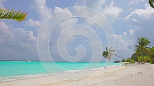 Tropical beach white sand, turquoise. Blue lagoon. Caribbean Sea, and big palm trees. Travel on paradise island Palms