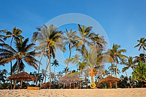 Tropical beach - Zanzibar island