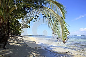 Tropical Beach Bocas del Toro photo