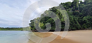 Tropical beaches, Panama. Chiriqui National Park. Deserted beach, palmtree, white sand, clear water