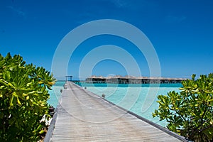 Tropical beautiful beach with huts at Maldives