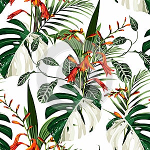 Tropical beautiful flowers pretty pattern. Seamless cute orange flowers and tropical palm leaves background.