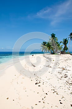 Tropical Belize Island