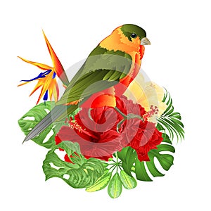 Tropical bird cute small funny bird and red hibiscus and Strelitzia reginae monstera palm watercolor style on a white background