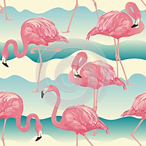 Tropical Bird Flamingo Background